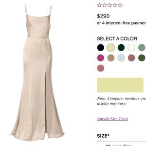 Perfect Bridesmaid Amsale Champagne Chloe Dress